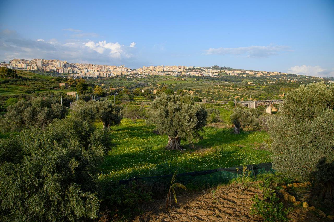 אגריג'נטו Villa Caterina מראה חיצוני תמונה
